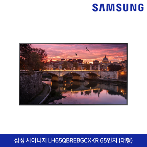 삼성 사이니지 LH65QBREBGCXKR 65인치 (대형)