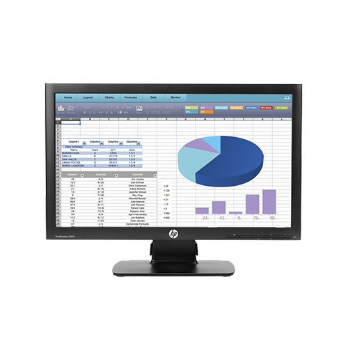 HP 모니터 ProDisplay 20인치 P202